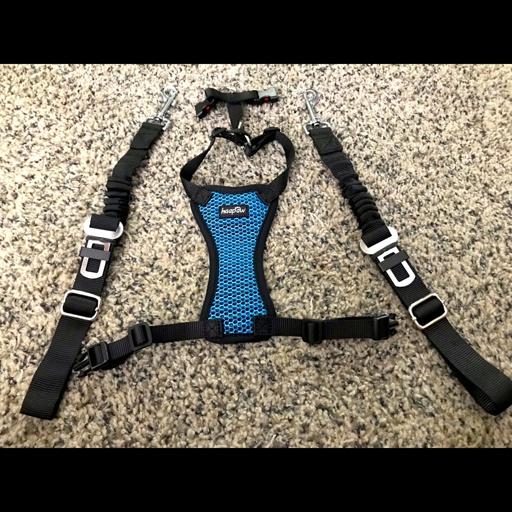 NIP XS Haapaw No Pull Dog Harness with 5ft. Leash.